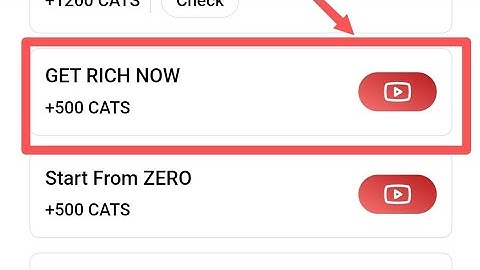 Get Rich Now Cats video code✅✅ || get rich now cats code??