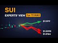 Just the numbers — 5 profit/risk views on SUI tomorrow
