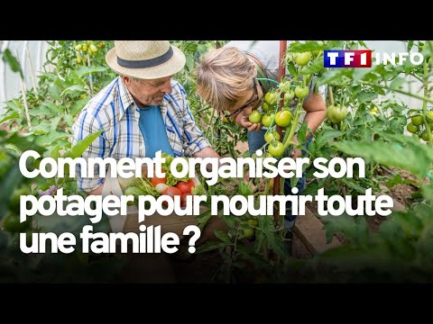 Comment organiser son