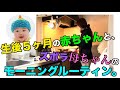 【我が家の日常】0歳児と犬3匹と過ごす朝。