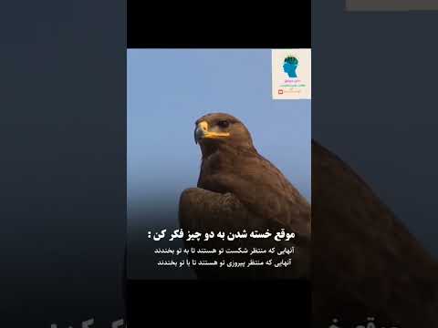  دلیل ادامه دادن دوباره