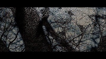 Brian Eno - In The Future/Hunger di Steve McQueen (2008)