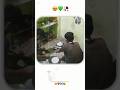 aaj roti vnate time bhai ka hat jal gya #shortvideo  #shorts #short  #shortsviral #shortsfeed