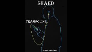 SHAED  - Trampoline (LYRICS)