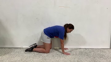 Quadruped Thoracic Spine Rotations