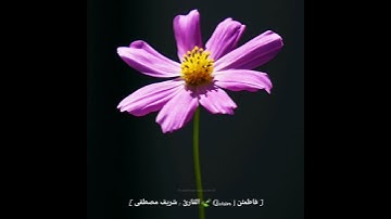 قرآن كريم حالات واتس اب دينية.