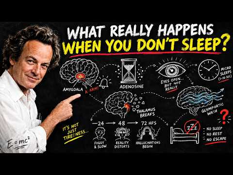 What Happens to Your Brain When You Don't Get Enough Sleep | Richard Feynman