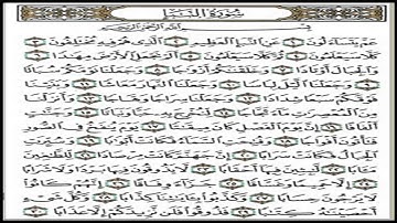 تلاوة عطرة  _  من سورة النبأ