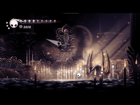Hollow Knight -