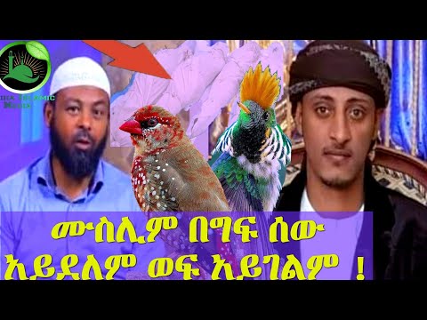 ቪዲዮ: ሰውን እንዴት መግደል