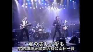 リゾ．ラバResort Lover-Beyond可否衝破日文版on字幕