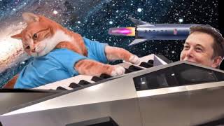 Keyboard Cat Plays A Tesla Cybertruck!