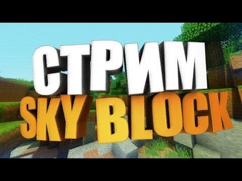Minecraft 1.16, skyy block