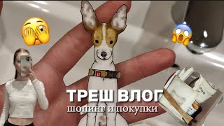 ВЛОГ|ПРОГУЛКА|ПОКУПКИ И ШОПИНГ ВАЙТИ ДОГ|