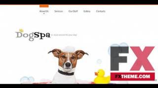 Moto CMS HTML Template by Delta Site Templates TMT by Auberon Dallas
