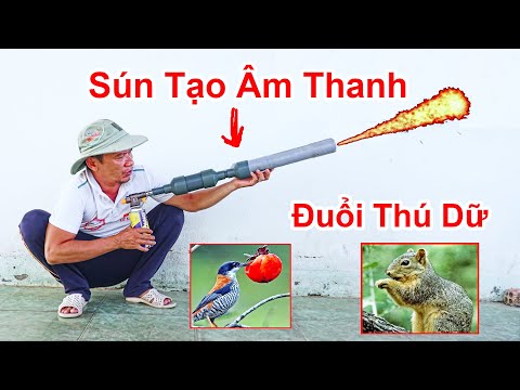 Cách Chế Súng Tạo Âm Thanh Để Đuổi Sóc , Nhan , Chim Ăn Trái Cây / Cách Tạo Tiếng Ồn Đuổi Thú Rừng