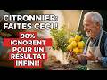 Le geste que 90% ignorent : ajoutez ceci et votre citronnier produit à l’INFINI