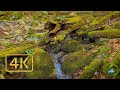 SPRING WITH MOUNTAIN WATER - 4 hours of water flowing - relaxing nature  with natural sound - 4K