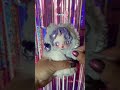 My Little Pony Blind Box and TCG! Watch me pull one of my chases and an $80 card. #Skullpanda #MLP
