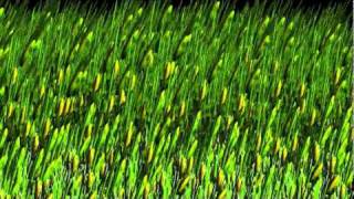 Particles used to produce landscape Video Sample and Tutorial Walk through