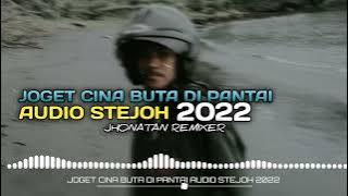 JOGET CINA BUTA DI PANTAI AUDIO STEJOH 2022
