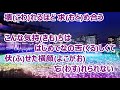 ミッドナイト・東京/ハッピー&ブルー カラオケ