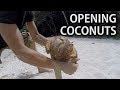 Easiest way to open coconuts on desert islands