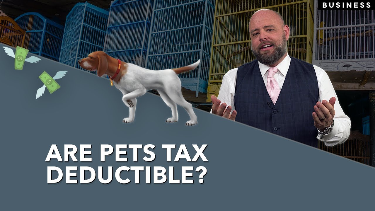 Are Pet Adoption Fees Tax Deductible?