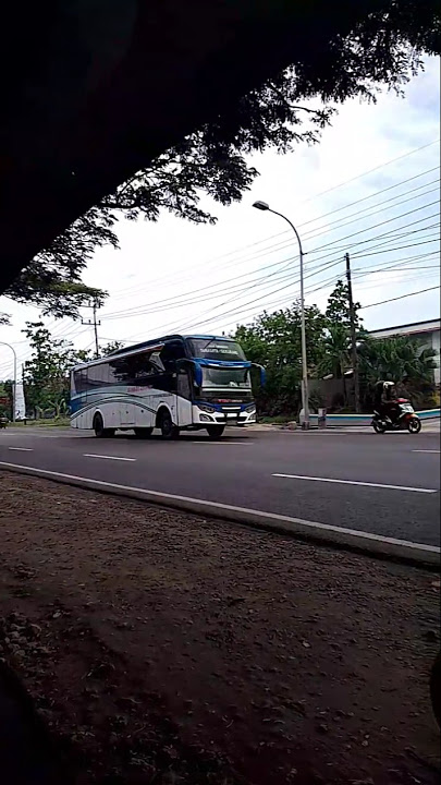 The Most Cinematic Bus Stories