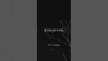 ما تيسّر من سورة المزمّل 🥀🌿