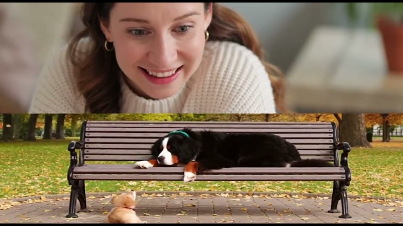 When the tiny pup brings the big dog to disbelief! 😂🐶 