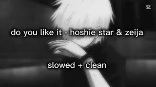 Do You Like It - Hoshie Star & Zeija Slowed Clean