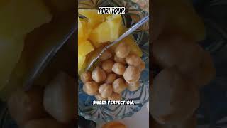 PURI TOUR GUIDE SHORTS VIDEO,GO AND WATCH THE FULL VIDEO TO CHECK IN THE DISCRIPTION BOX.