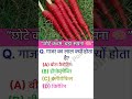 गाजर का रंग लाल क्यों होता है? | Science GK Fact #staticgk #gk #ssc #studyshorts