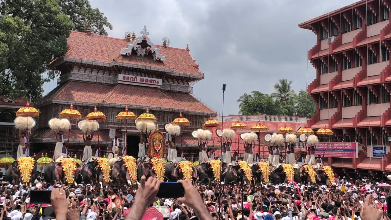 എന്തൊരു ഭംഗി ഈ ആനപ്പൂരം | Paramekkavu| Thiruvambady | kudamattam| ezhunnellippu | ത്രിശൂർ പൂരം|
