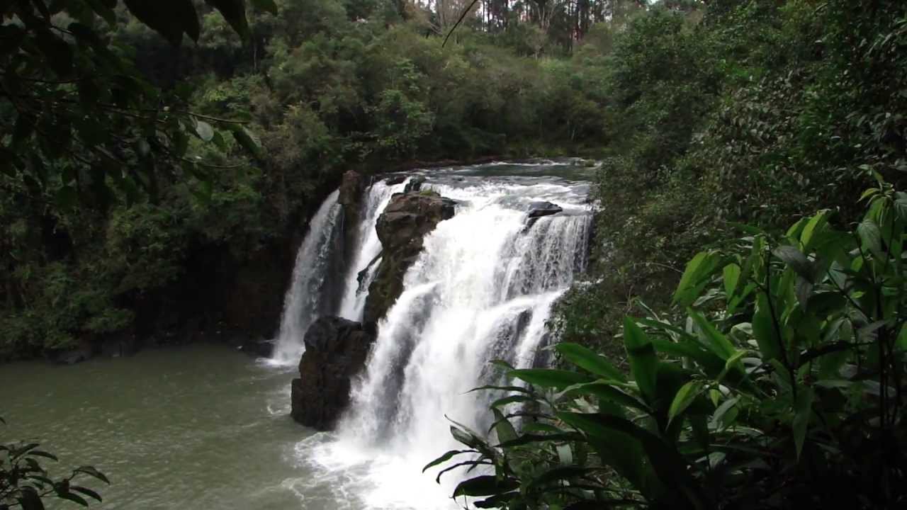 Tudo sobre o município de Porto Vitória Estado do Parana Cidades do