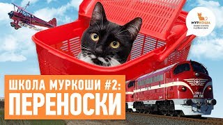 Какие бывают переноски для кошек? - Школа "Муркоши" #2 Какие бывают переноски для кошек? - Школа "Муркоши" #2