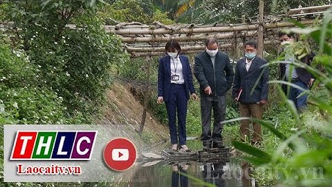 Thực hiện nhiệm vụ giám sát việc giải quyết kiến nghị của cử tri | THLC
