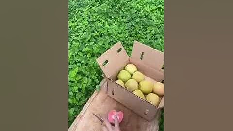 {وَلِمَنْ خَافَ مَقَامَ رَبِّهِ جَنَّتَانِ} مقطع من سورة الرحمن 🍃عبد الباسط عبد الصمد