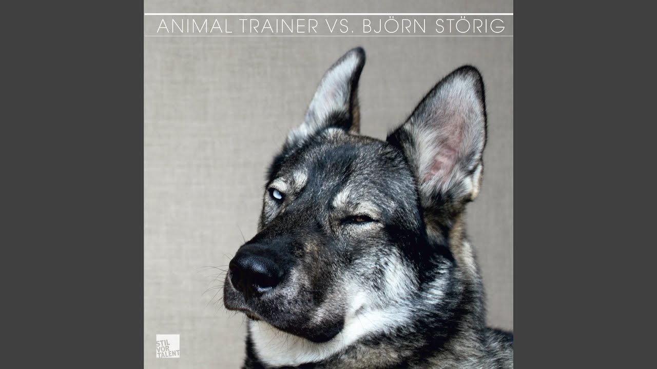 The Return of the Trompetenfrosch (Original Version)