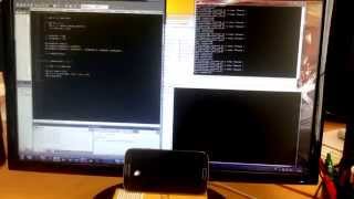 OpenFL live coding test