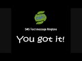 Text message Ringtone - You Got it Mp3 Song