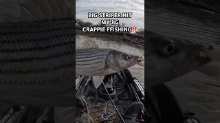 BIG STRIPER HIT MY CRAPPIE JIG‼️