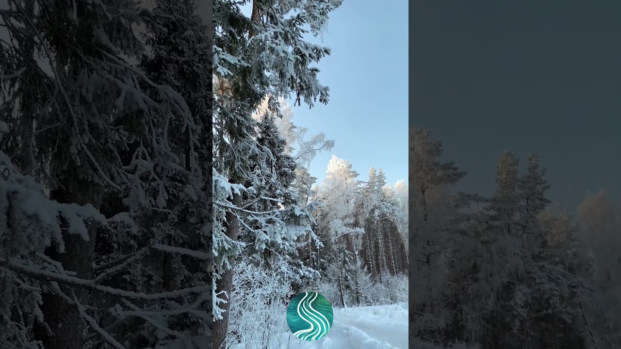 The Stillness Between Heartbeats