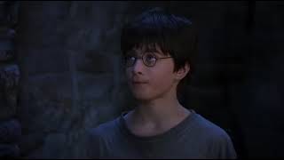 Harry Potter and the Philosopher's Stone You're a Wizard, Harry