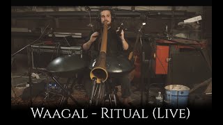 Waagal - Ritual (Live 4k) || Didgeridoo Handpan Asalato One Man Band Kashaka Cascas chords