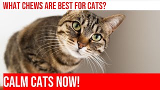 Easing Your Cat's Stress: Finding the Best Calming Chews by Meow-sical America 40 views 4 months ago 5 minutes, 23 seconds