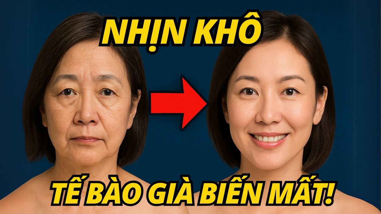 Điều Gì Xảy Ra Khi Cơ Thể NHỊN KHÔ? Bí Mật Tái Sinh theo Góc Nhìn Khoa Học