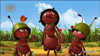 Ari Mayabüyük Düello