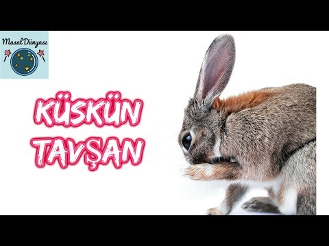 KÜSKÜN TAVŞAN MASALI-Çocuklar için masallar